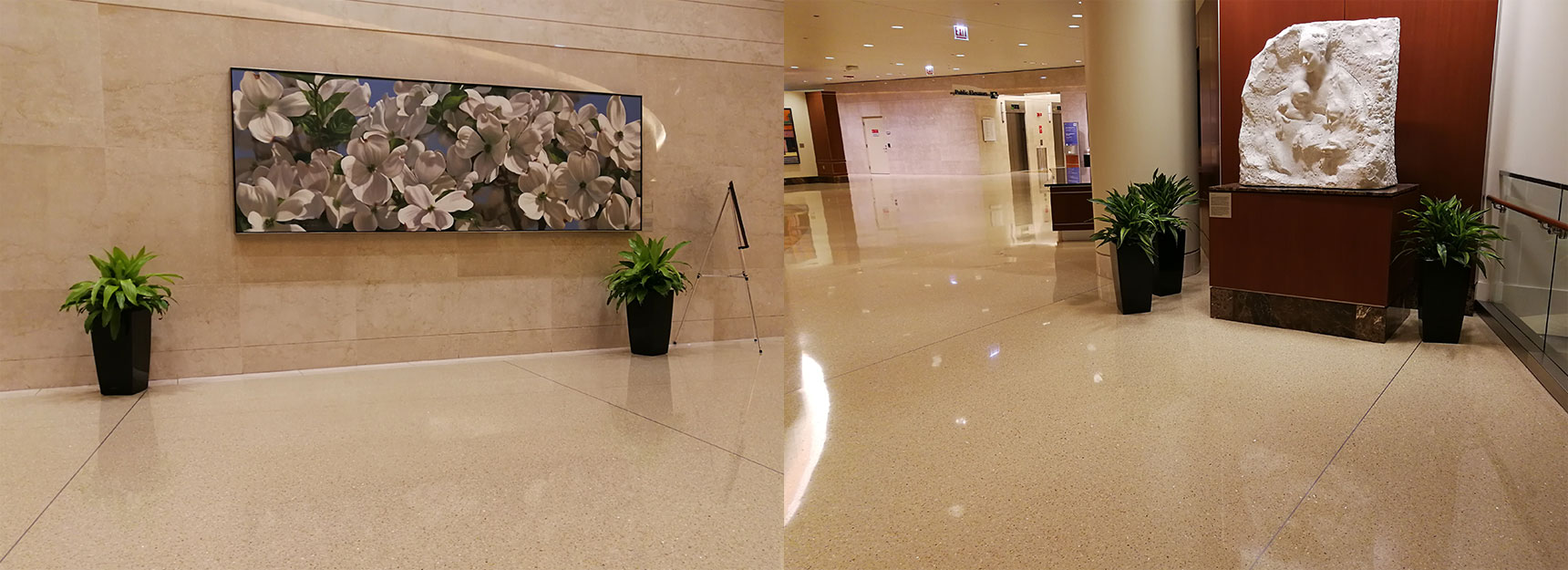 91香蕉丝瓜榴莲污污网站 91香蕉丝瓜榴莲污污网站